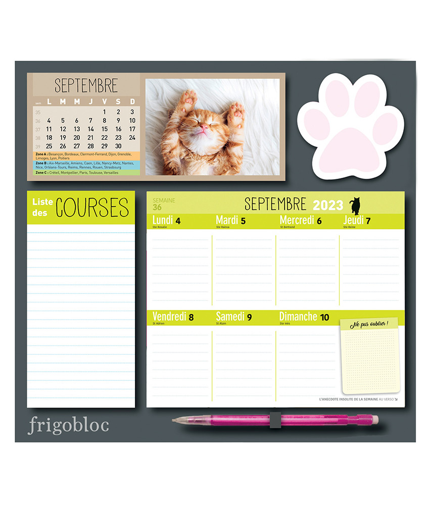Frigobloc spécial chats - Le calendrier de Play Bac - Livre