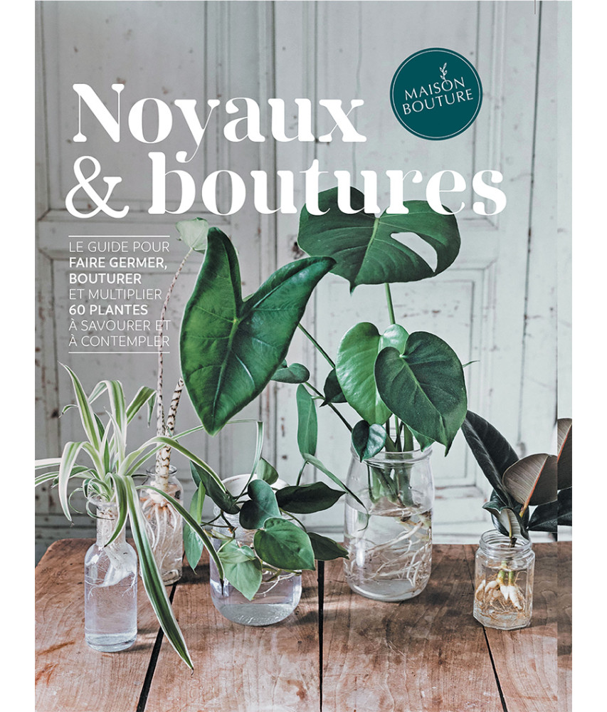 Noyaux et boutures