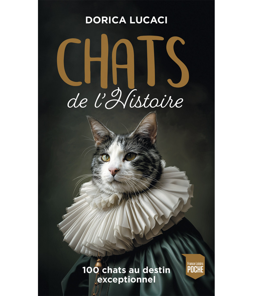 Chats de l'histoire