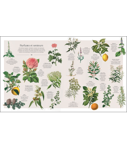 Le beau livre des plantes aromatiques et médicinales