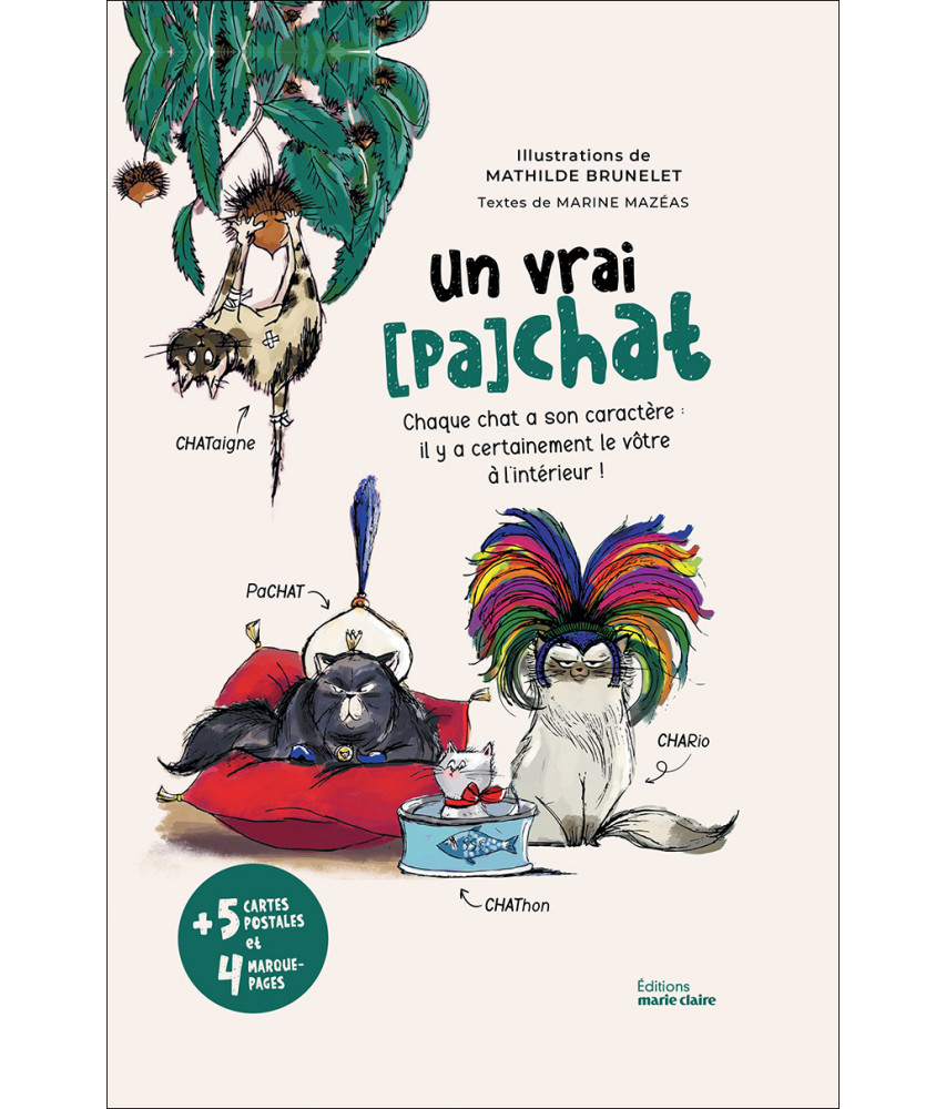 Un vrai (pa)chat