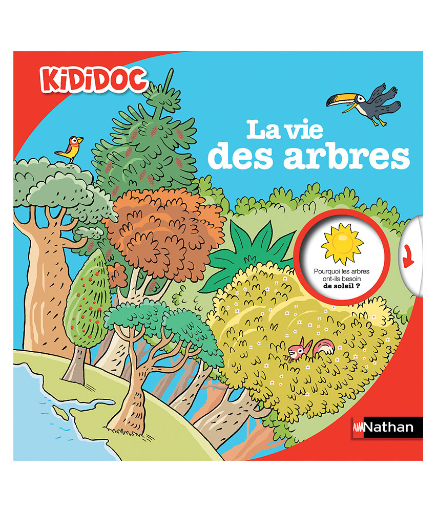 Kididoc, la vie des arbres