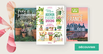 JARDIN, NATURE & VOYAGE